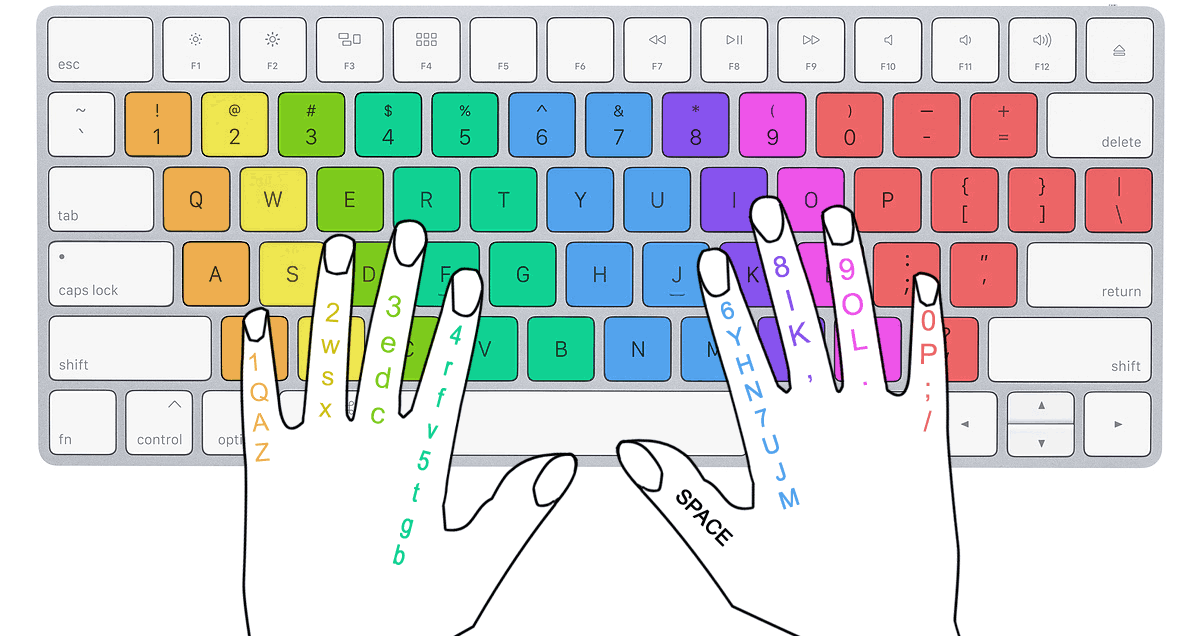 Certificate In Computer Typing -Hindi