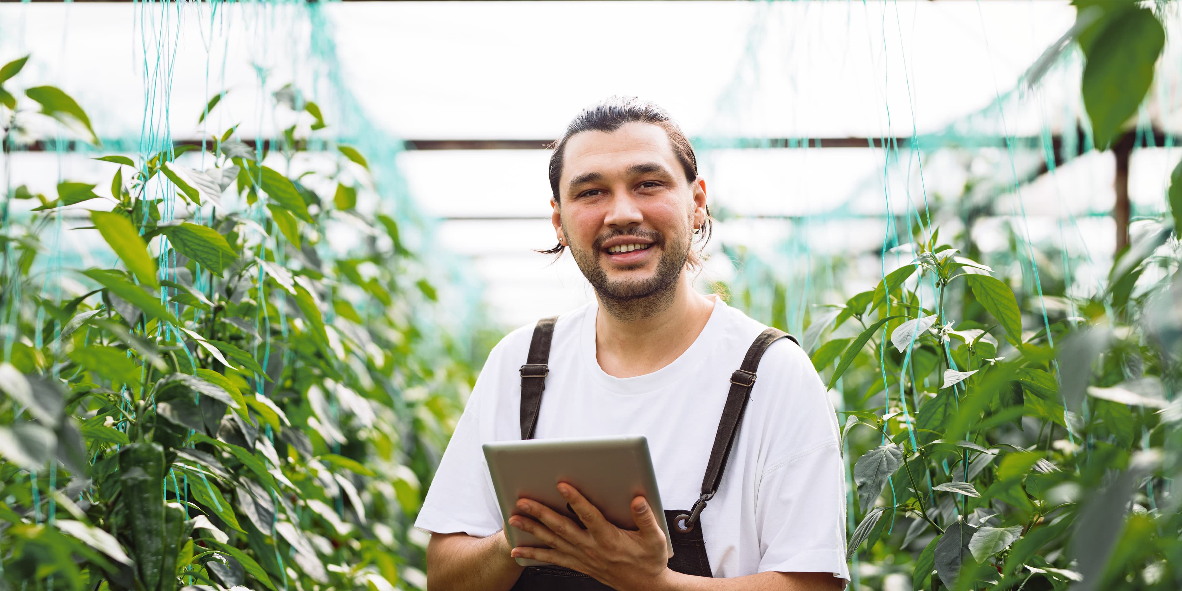 Titelbild auf Studiengangsseite"mystudium Agrarmanagement": Mann mit Tablet