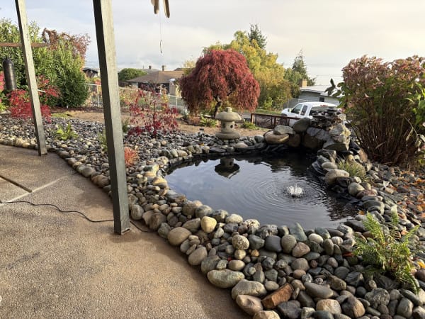 Backyard Koi Pond Installation