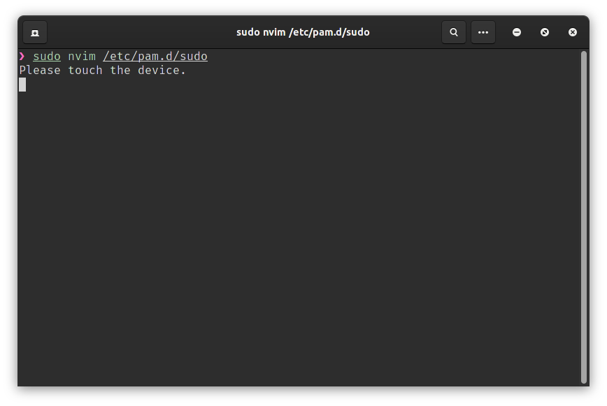 trying to use sudo