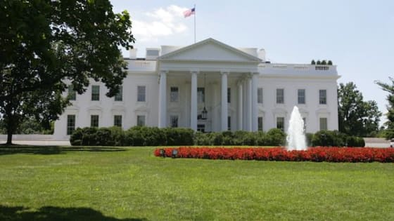 How to Run for President in 2 Easy Steps