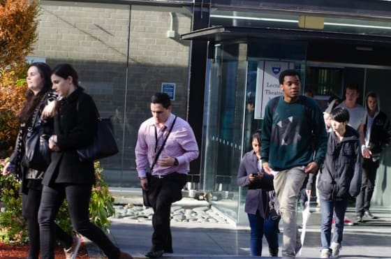 gallup employee engagement