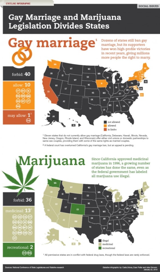 Gay Marriage and Marijuana Divide States