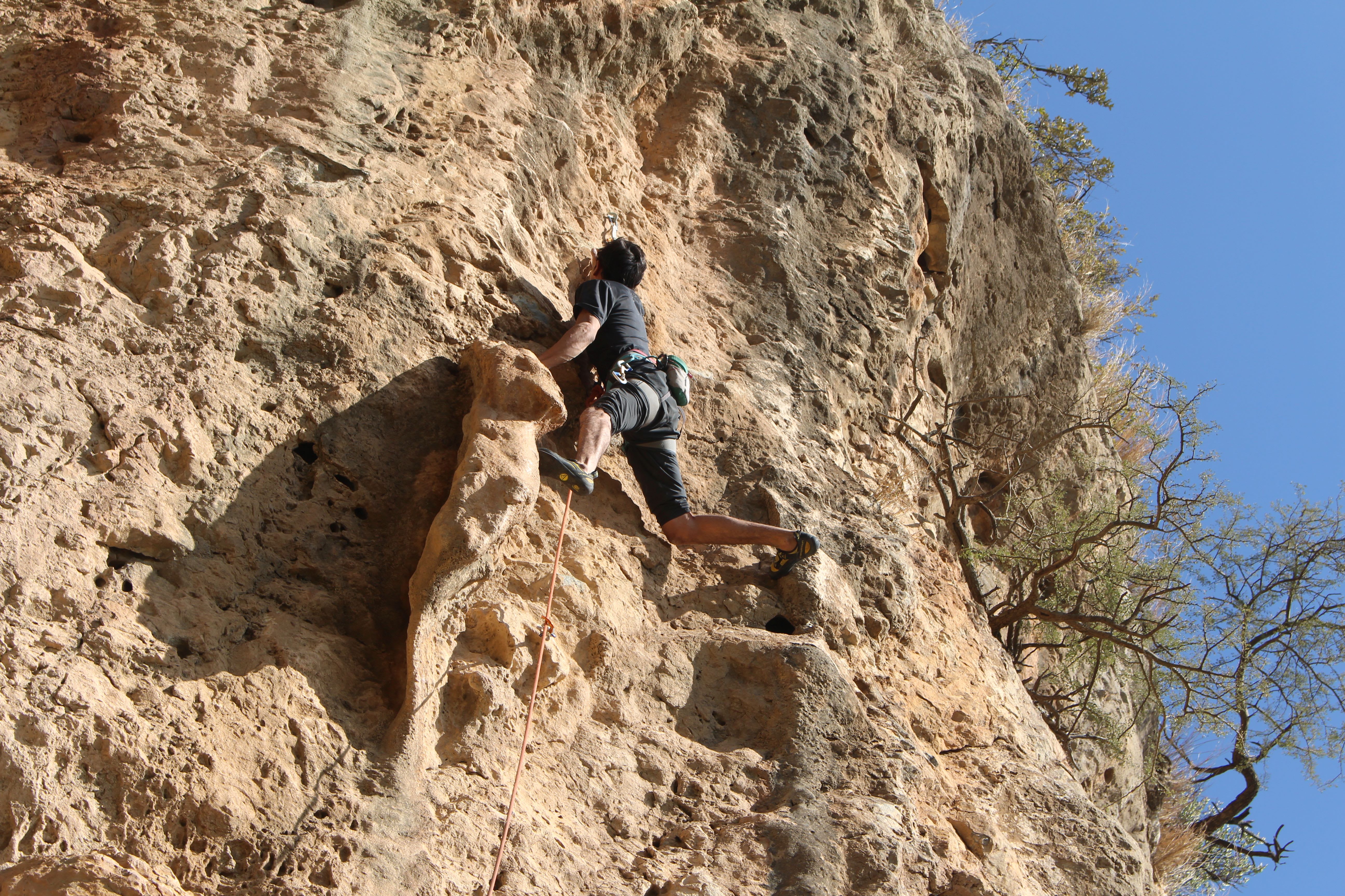 Saif Ud Din - 7a Route: Mastadon