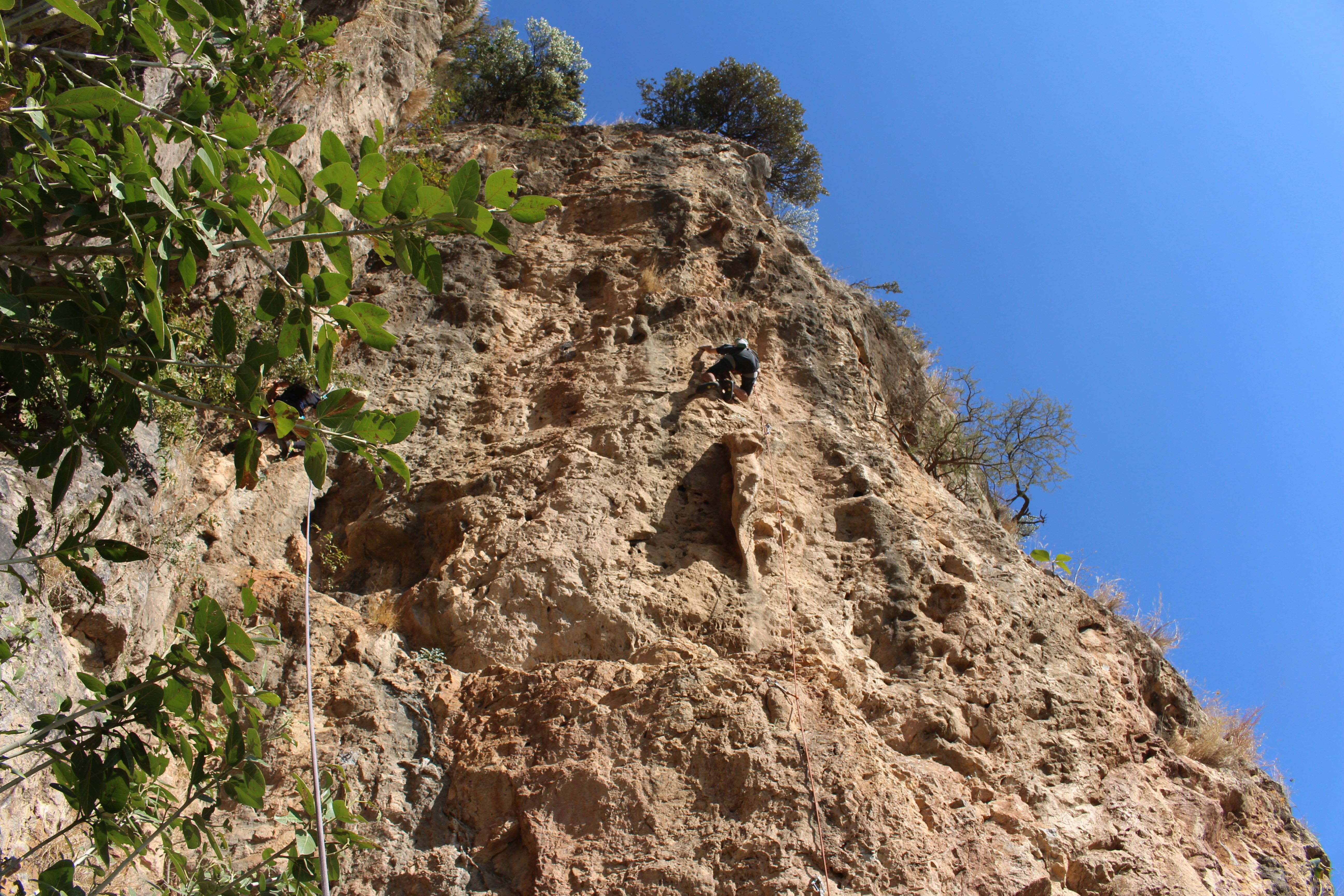 Saif Ud Din - 7a Route: Mastadon
