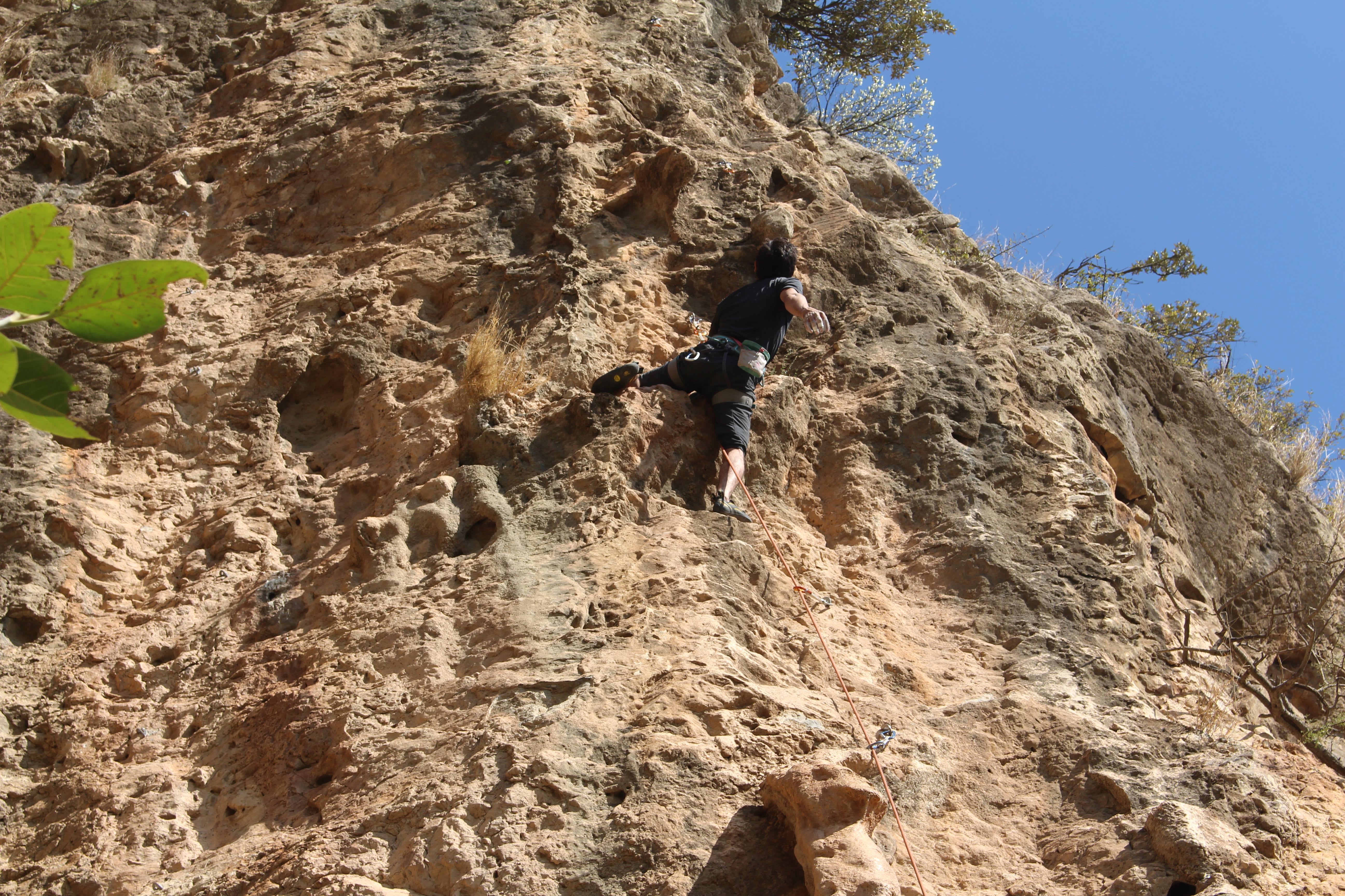 Saif Ud Din - 7a Route: Mastadon