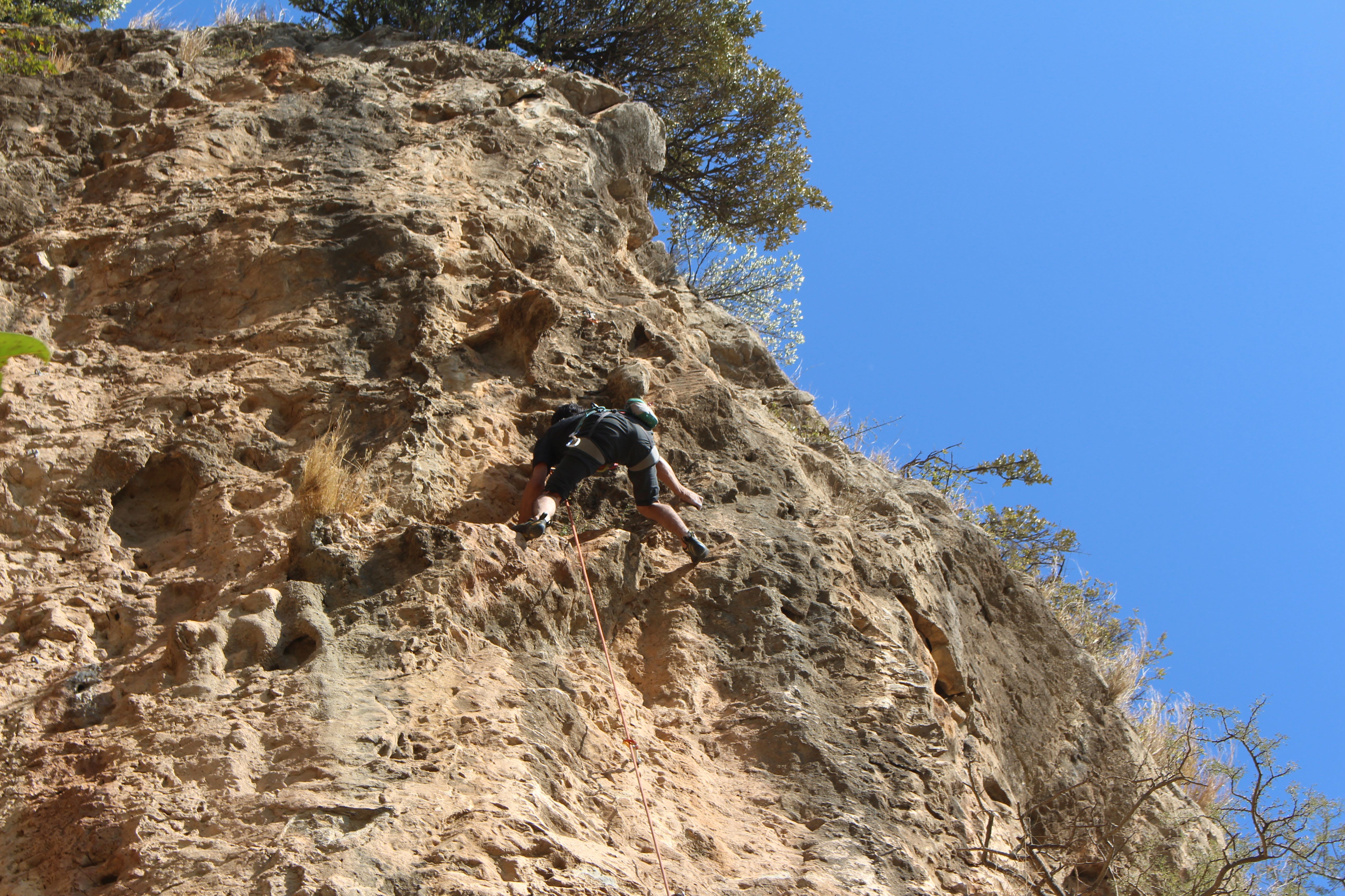 Saif Ud Din - 7a Route: Mastadon