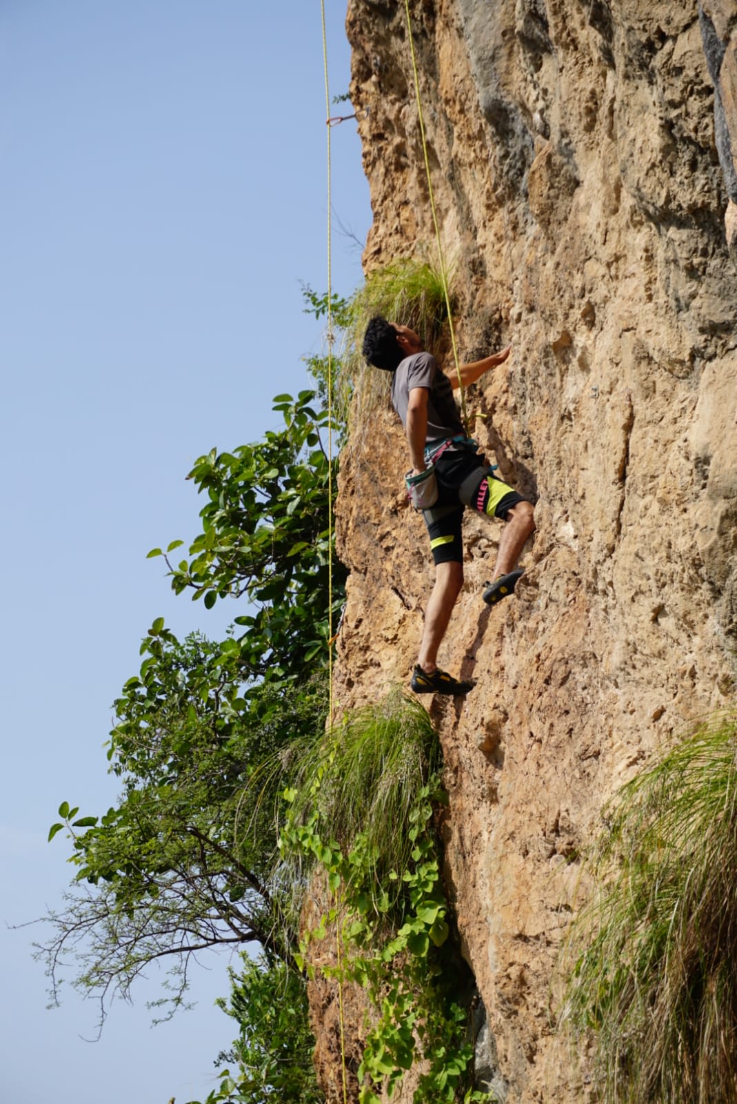 Saif Ud Din - 6c Route: Puzzled Monkey