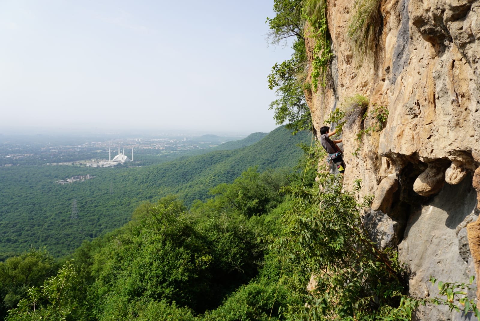 Saif Ud Din - 6c Route: Puzzled Monkey