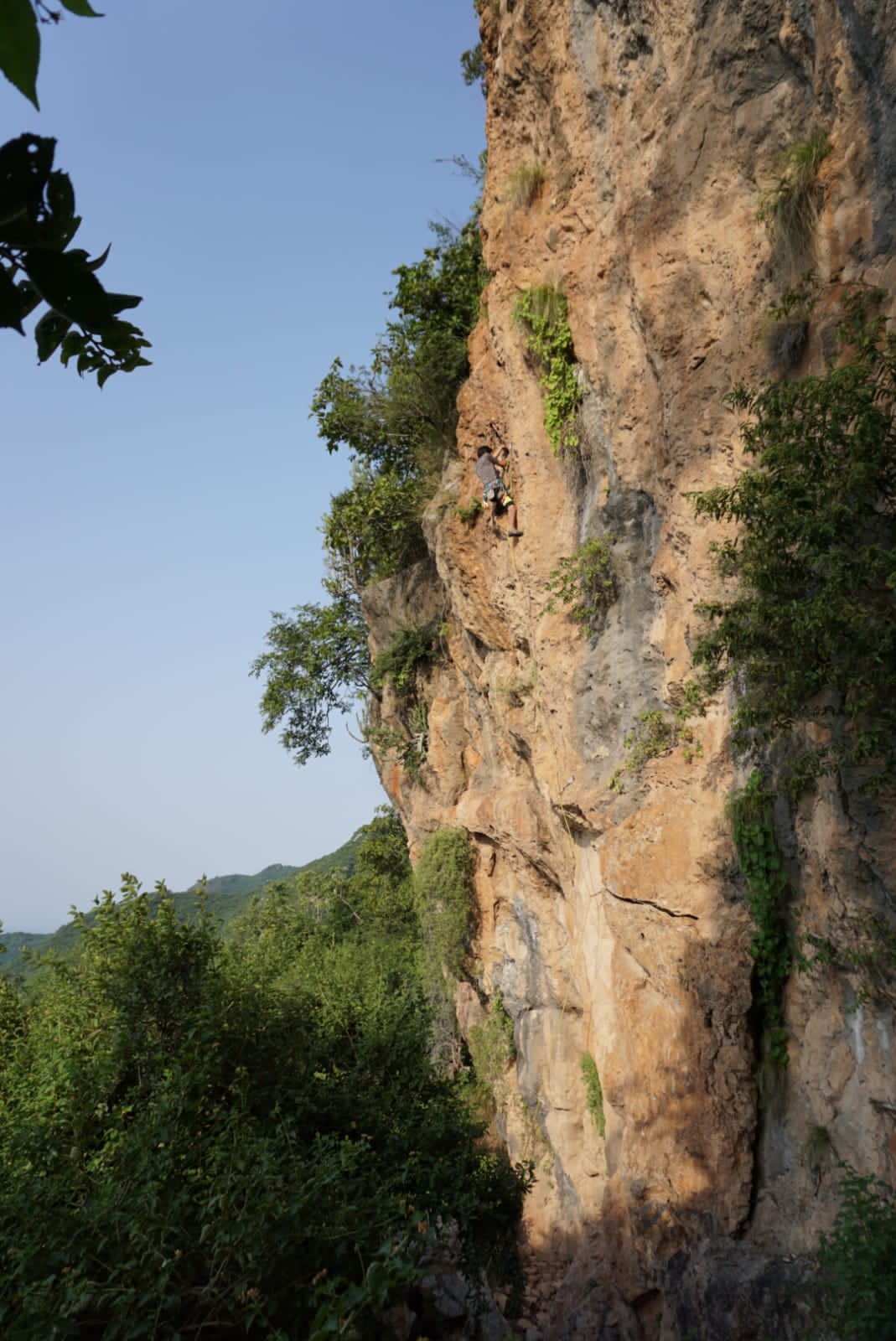 Saif Ud Din - 6c Route: Puzzled Monkey