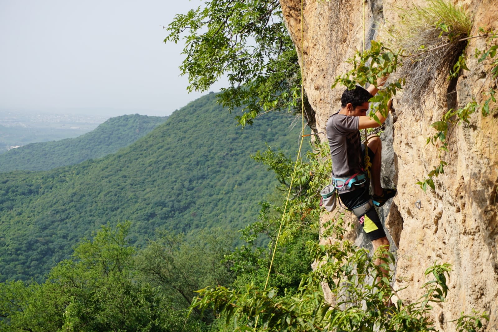 Saif Ud Din - 6c Route: Puzzled Monkey