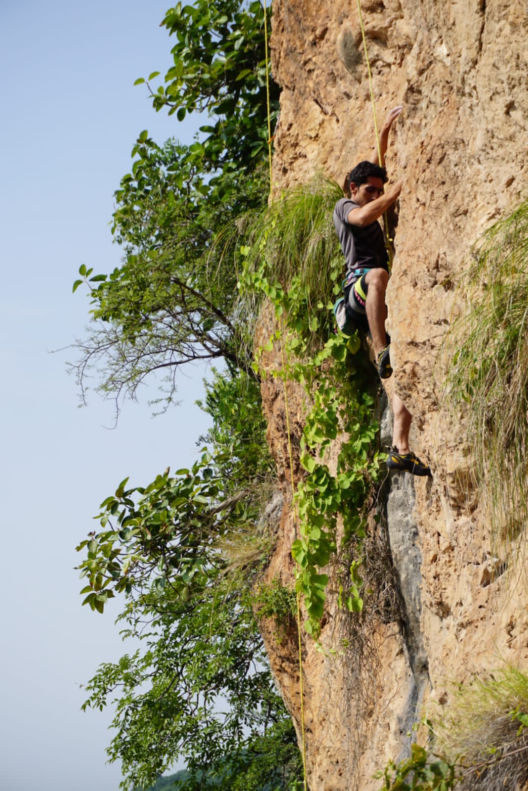 Saif Ud Din - 6c Route: Puzzled Monkey