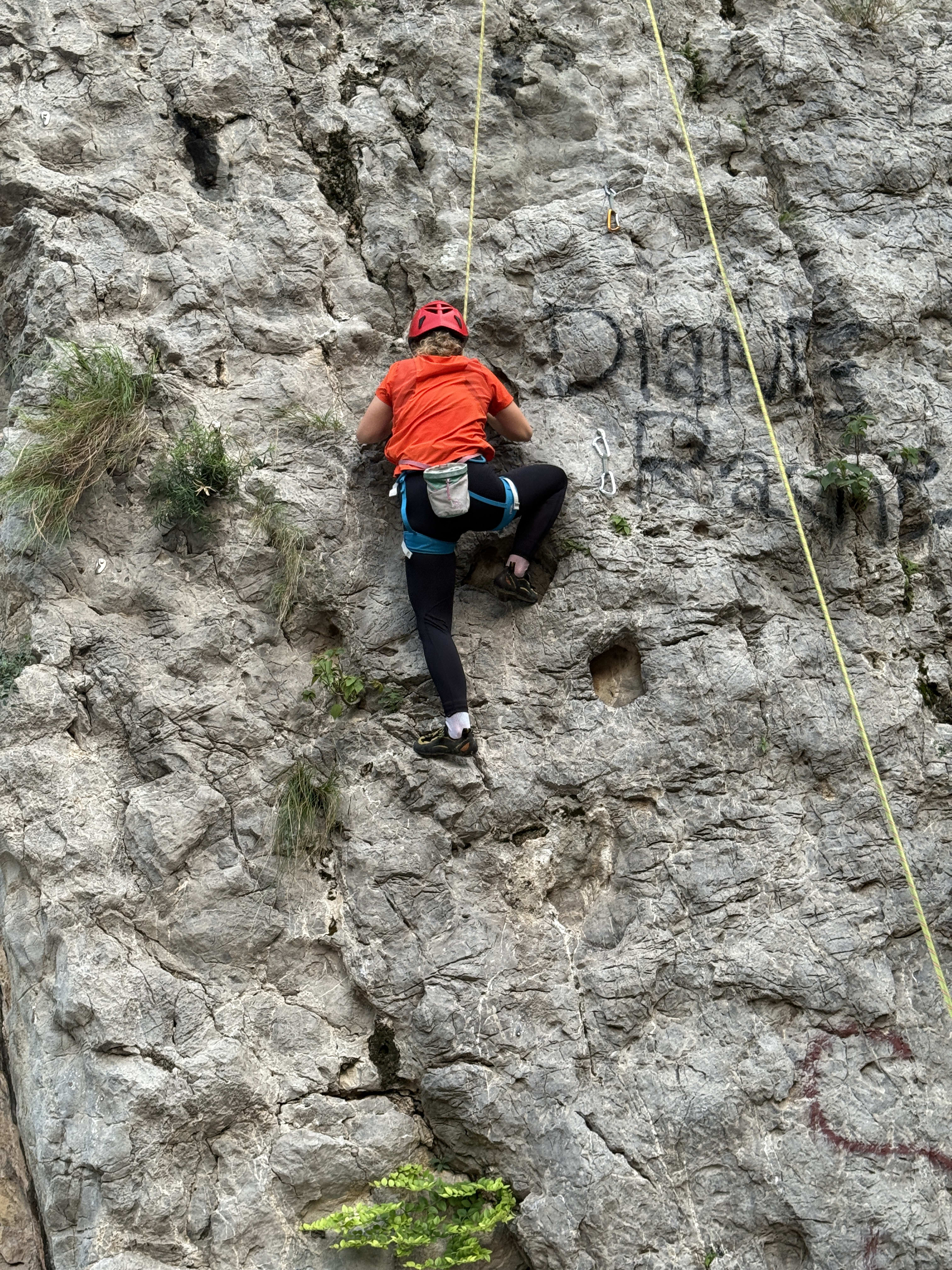 GERMAN CLIMBER - Training