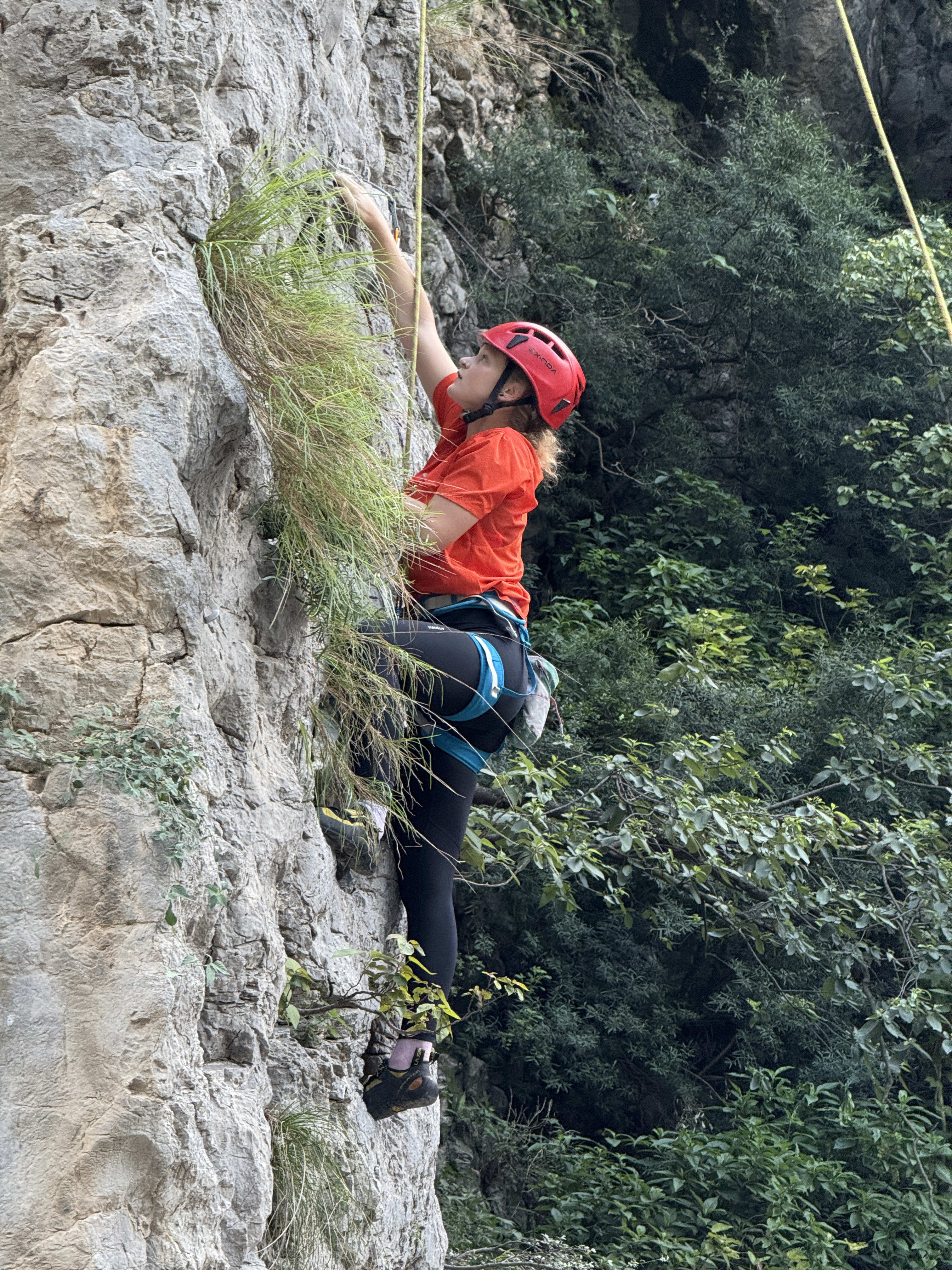 GERMAN CLIMBER - Training