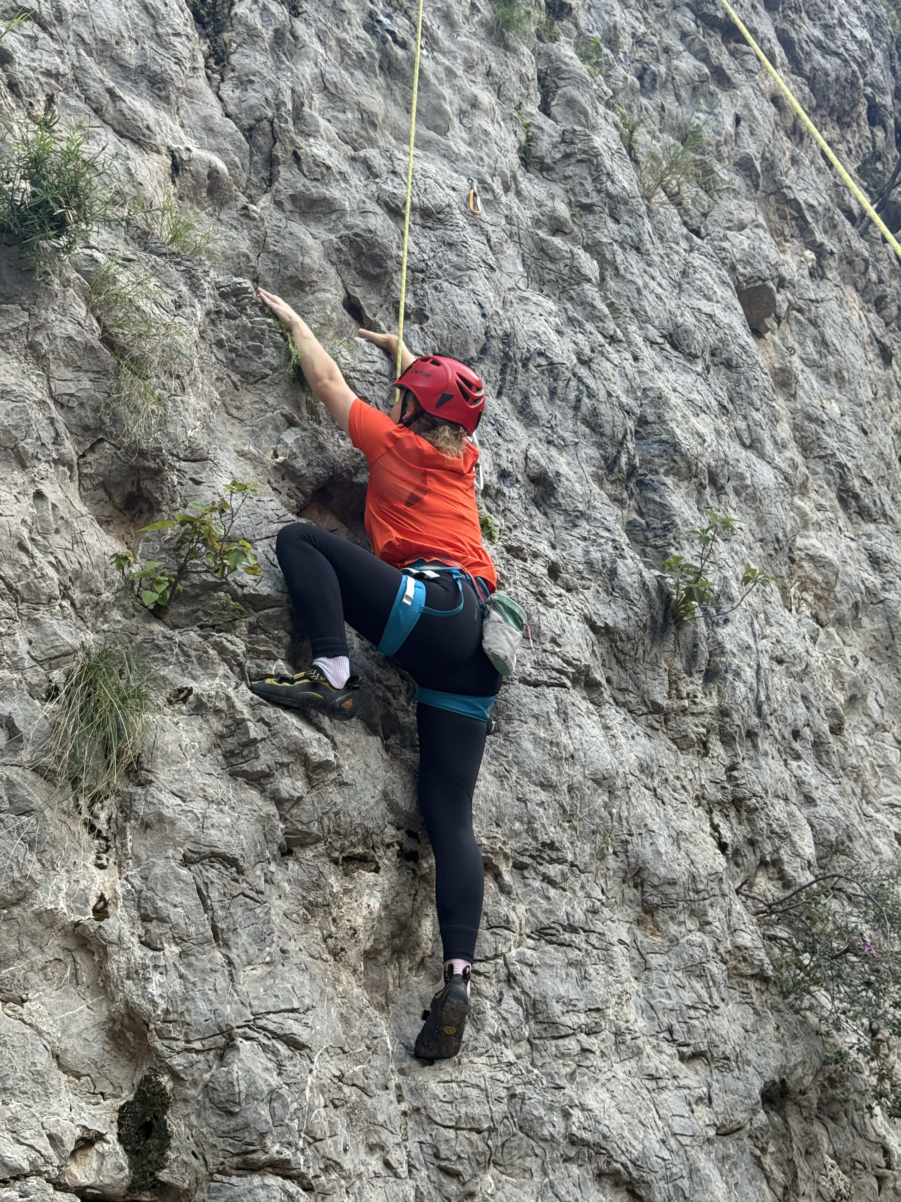 Climber From Germany