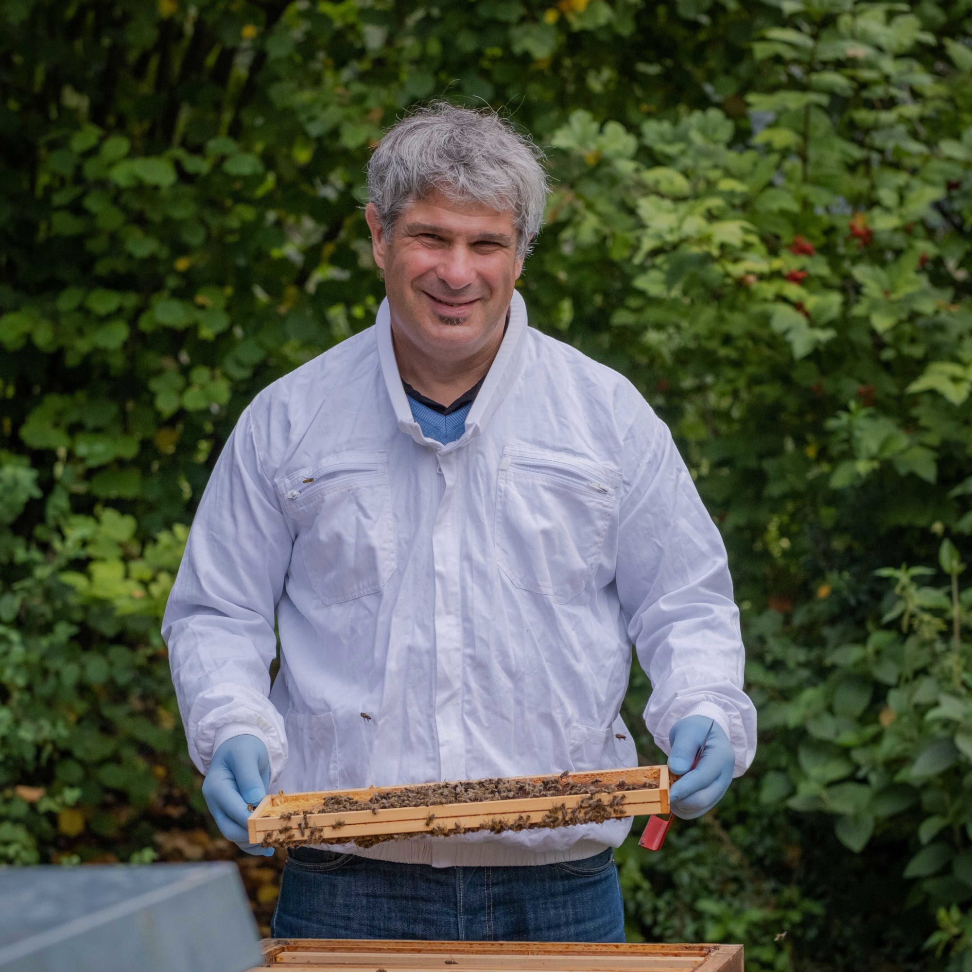 Mann am Bienenstock BienenSchweiz