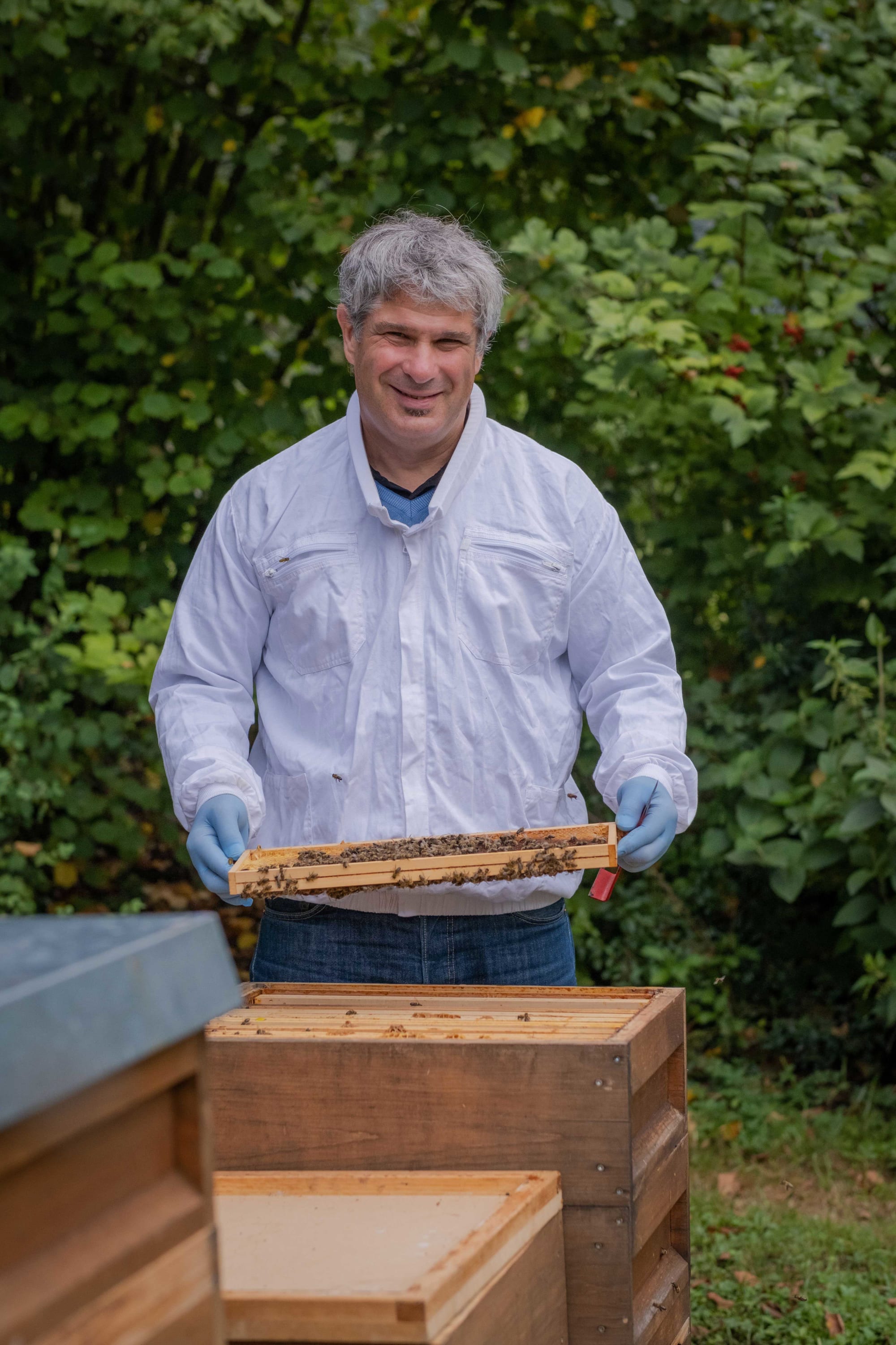 Mann am Bienenstock BienenSchweiz