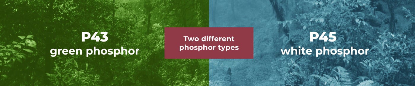 Two Different Phosphor Type