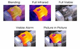 Fluke TiS Thermal Imager Infrared Heat Scanner Camera Temperature Gun –  Advanced Tool & Equipment