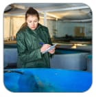 Recirculating Systems