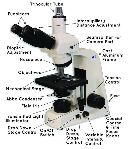 Meiji Techno MT5310EL/LBC - Ergonomic Trinocular Brightfield/Phase ...