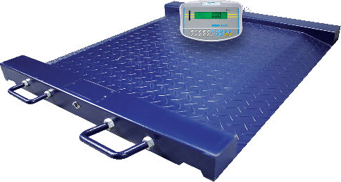 PTM Drum and Wheelchair Scale with GKa Indicator