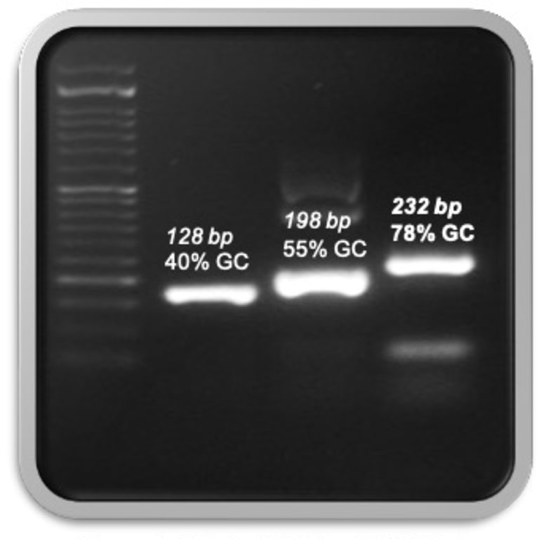 Accuris PR1001-HFHS - High Fidelity, Hot Start Master Mix | TEquipment