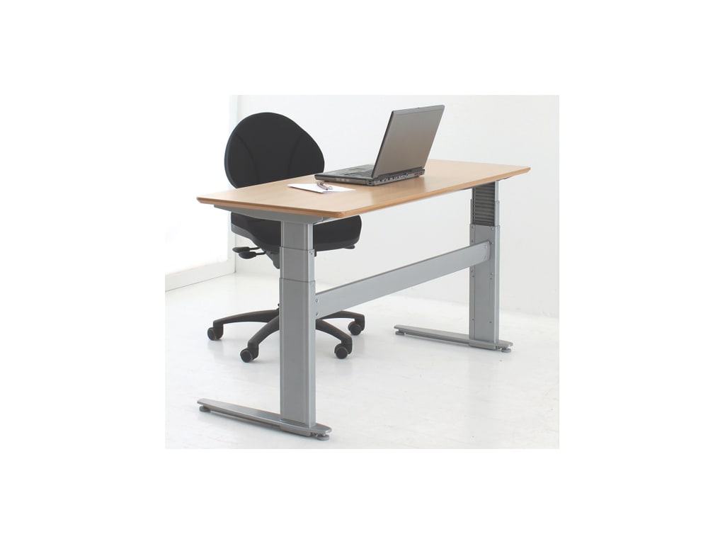 Electric Height Adjustable Standing Desk E1