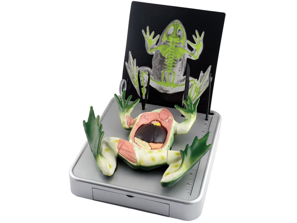 frog dissection kits