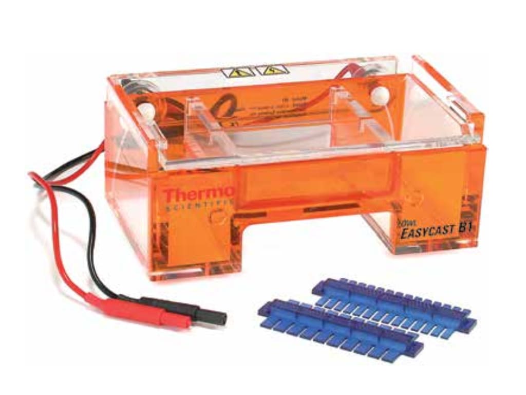 Thermo Scientific Owl EasyCast B1BP Owl EasyCast B1BP Mini Gel