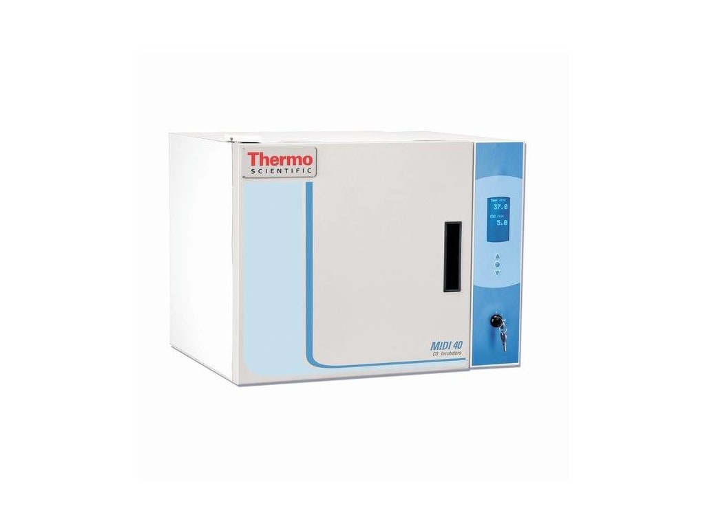 Thermo Scientific Midi 40 120V Midi CO2 Incubator, 40L, Polished