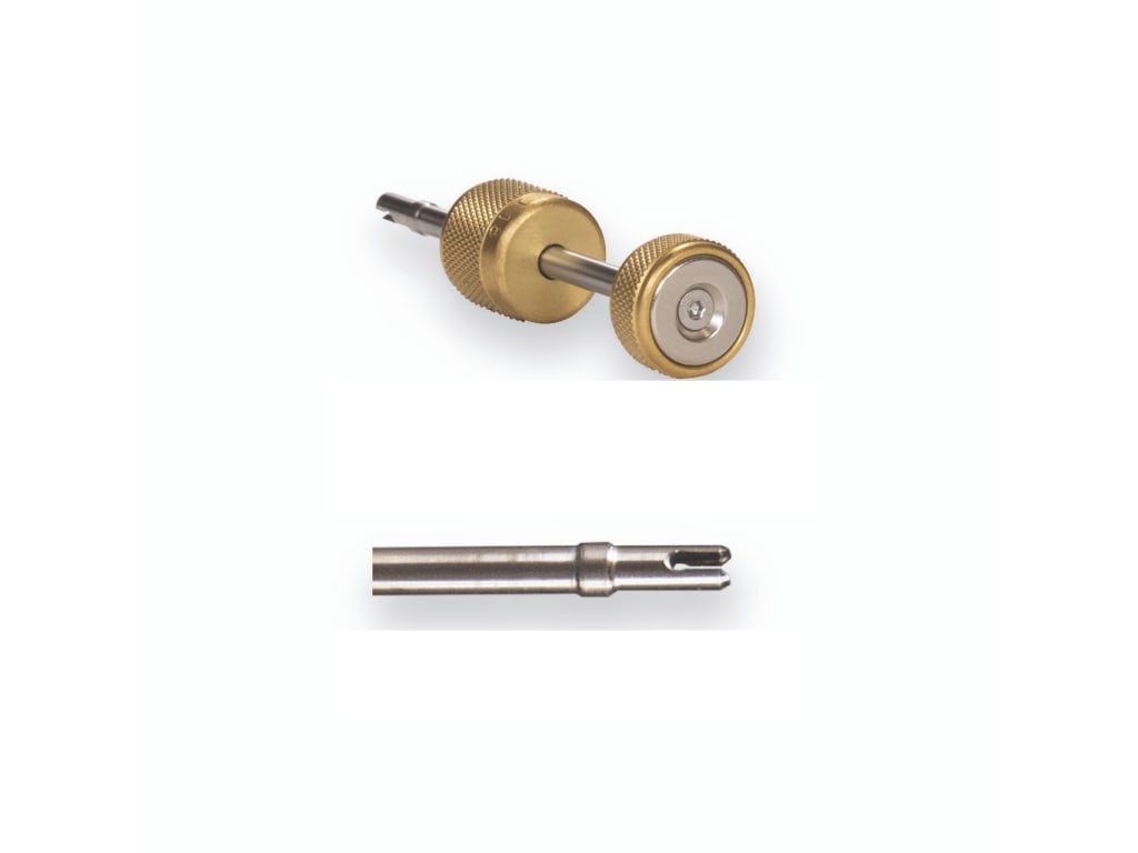 Appion AY0539 Stem Assembly for MGAVCT and MGAVCR Valve Core