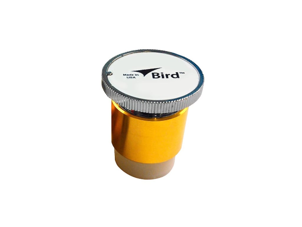 Bird - 7/8