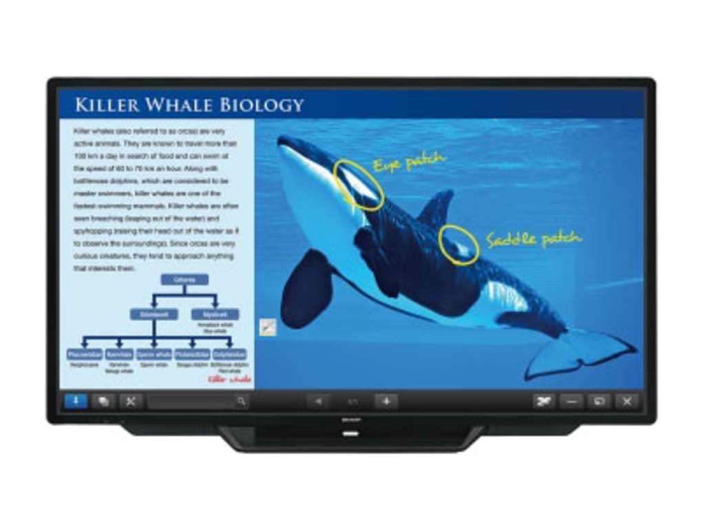 Sharp PNC703B AQUOS BOARD Interactive Display System 70" Class