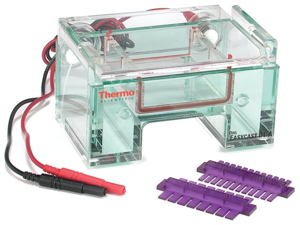 Thermo Scientific Owl EasyCast B1ABP Owl EasyCast B1ABP Mini Gel