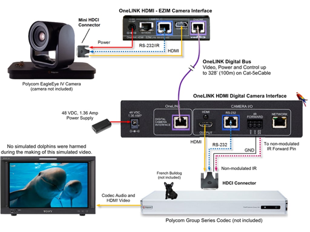 polycom eagle eye