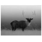 Thermal Camera Image