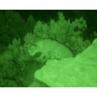 ATN NVB3X-2 Night Vision Binocular Gen 2  High Res Sample Application