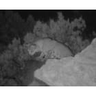 ATN NVB3X-WPT Night Vision Binocular Sample Application