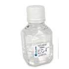 Accuris PR2000-N-25BLK - qMAX SYBR Green, No ROX qPCR Mix, 2500 Reactions (25 ml)