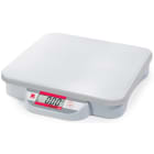 Compact Precision Bench Scales Left Side