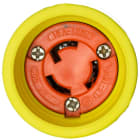 EricsonL515CW6P143Z20YAM_Close_Up_View