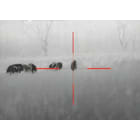 FLIR_Thermosight_Pro_PTS233_night_vision