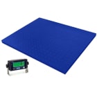 Intelweigh Intelligent Weighing Technology