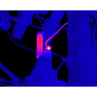 Level1-ThermographyCourse