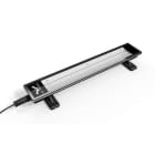 OC White LED-1936-120V