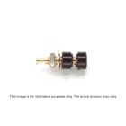 Pomona2142-3 Main image