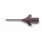 Pomona5790-2 Additional image