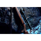 Pulsar_Thermion_Series_22