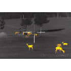 Pulsar Trail 2 LRF XQ50 Additional Image 4